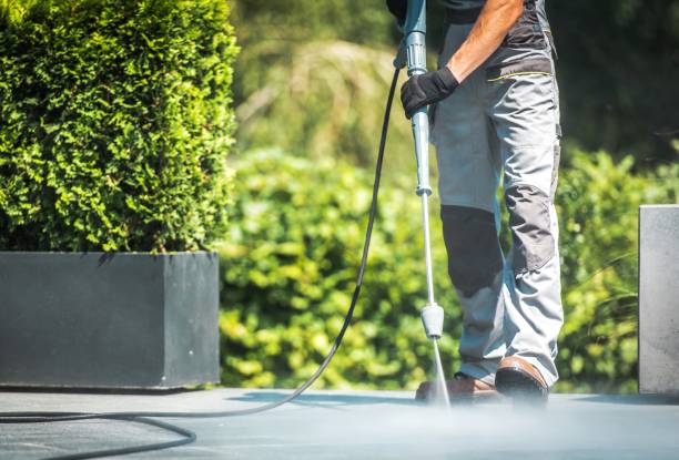 Best Driveway Pressure Washing  in Niles, MI